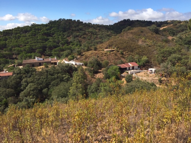 Quinta Quixote vanaf de Noorder Heuvel gezien